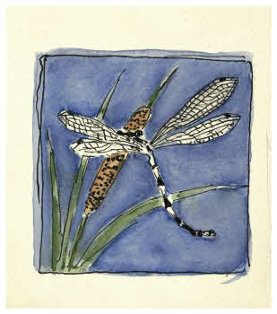 Visualizza l'immagine "FD D 1723"